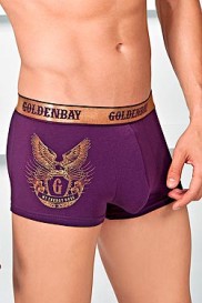 Goldenbay paarse boxer